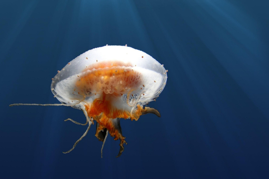 So wird 2026 dein Urlaubsjahr