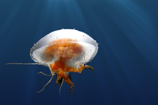 So wird 2026 dein Urlaubsjahr